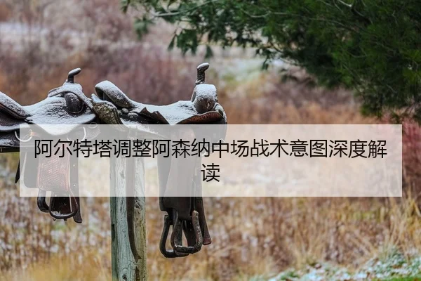 a-er-te-ta-tiao-zheng-a-sen-na-zhong-chang-zhan-shu-yi-tu-shen-du-jie-du-1-966.jpg